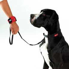 PatentoPet Hands Free Leash Black - Click Image to Close