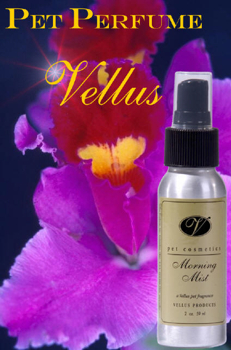 Vellus Morning Mist Fragrance Vellus Morning Mist Fragrance