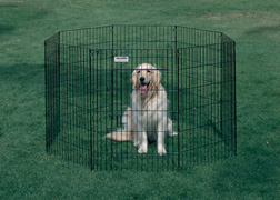 Precision/Ultimate Ex-Pen 48"/ Black W/Door Precision/Ultimate Ex-Pen 48"/ Black W/Door